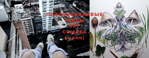 индика Алзамай