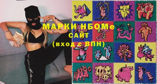 индика Алзамай