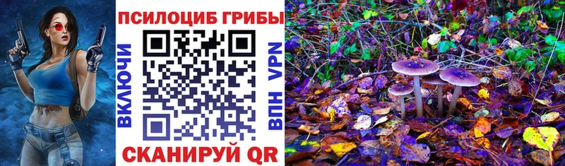 Псилоцибиновые грибы прущие грибы  Игра 